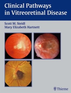 Clinical Pathways in Vitreoretinal Disease - Steidl, Scott M.;Hartnett, Mary E.