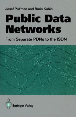 Public Data Networks - Puzman, Josef;Kubin, Boris