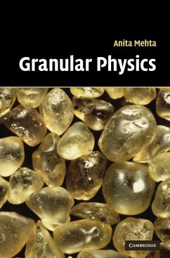 Granular Physics - Mehta, Anita