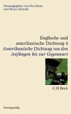Englische und amerikanische Dichtung Bd. 4: Amerikanische Dichtung: Von den Anfängen bis zur Gegenwart / Englische und amerikanische Dichtung, 4 Bde. Bd.4