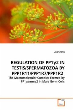 REGULATION OF PP1 2 IN TESTIS/SPERMATOZOA BY PPP1R11/PPP1R7/PPP1R2 - Cheng, Lina
