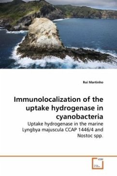 Immunolocalization of the uptake hydrogenase in cyanobacteria - Martinho, Rui