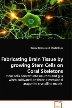 Cover Fabricating Brain Tissue by growing Stem Cells on Coral Skeletons