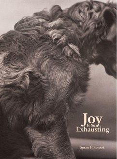 Joy Is So Exhausting - Holbrook, Susan