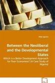 Between the Neoliberal and the Developmental States