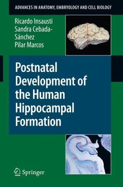 Postnatal Development of the Human Hippocampal Formation - Insausti, Ricardo;Cebada-Sánchez, Sandra;Marcos, Pilar