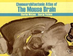 Chemoarchitectonic Atlas of the Mouse Brain - Paxinos, George; Watson, Charles