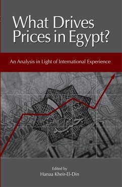 What Drives Prices in Egypt?