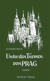 Unter den Türmen von Prag