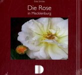 Die Rose in Mecklenburg