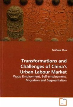 Transformations and Challenges of China's Urban Labour Market - Chen, Taichang