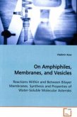 On Amphiphiles, Membranes, and Vesicles