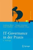 IT-Governance in der Praxis
