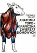 Anatomia topograficzna zwierzat - Milart, Zbigniew