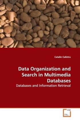 Data Organization and Search in Multimedia Databases Data Organization and Search in Multimedia Databases