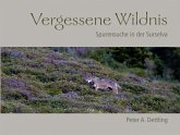 Vergessene Wildnis