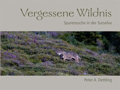 Vergessene Wildnis - Dettling, Peter A.