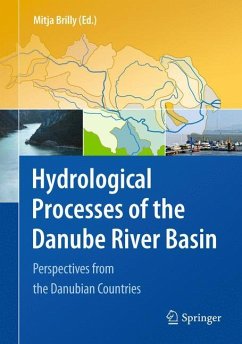 Hydrological Processes of the Danube River Basin - Brilly, Mitja (Hrsg.)