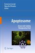 Apoptosome - Bild 1