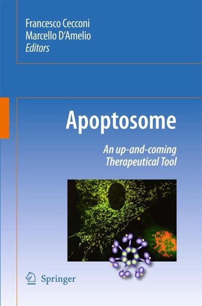 Apoptosome Apoptosome