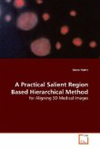 A Practical Salient Region Based Hierarchical Method