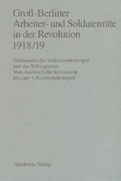 Groß-Berliner Arbeiter- und Soldatenräte in der Revolution 1918/19 - Engel, Gerhard / Holtz, Bärbel / Materna, Ingo (Hgg.)