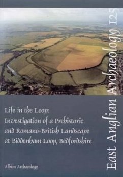 Life in the Loop: Investigation of a Prehistoric and Romano-British Landscape - Luke, Mike