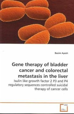 Gene therapy of bladder cancer and colorectal metastasis in the liver - Ayesh, Basim