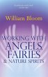 Working With Angels, Fairies And Nature... - Bild 1