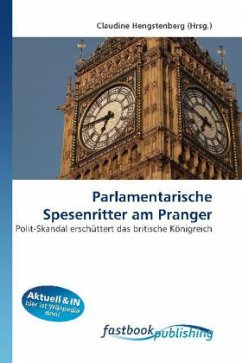 Parlamentarische Spesenritter am Pranger