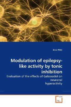 Modulation of epilepsy-like activity by tonic inhibition - Pitre, Anar