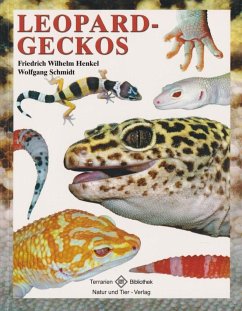Leopardgeckos - Henkel, Friedrich Wilhelm;Schmidt, Wolfgang