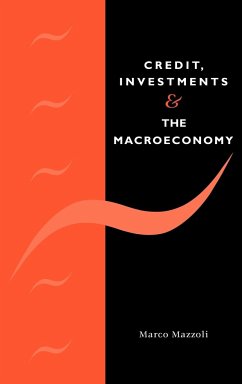 Credit, Investments and the Macroeconomy - Mazzoli, Marco