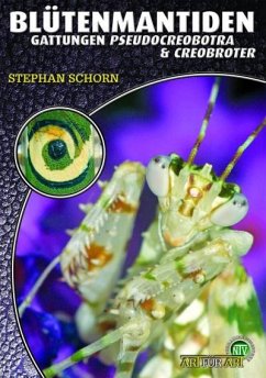 Blütenmantiden (Gattungen Pseudocreobotra & Creobroter), - Schorn, Stephan