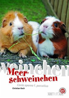 Meerschweinchen - Koch, Christian