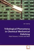 Tribological Phenomena in Chemical Mechanical Polishing