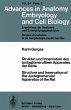 Struktur und Innervation des... - Bild 1