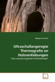 Ultraschallangeregte Thermografie an Holzverklebungen