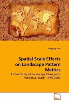 Spatial Scale Effects on Landscape Pattern Metrics - Hao, Yongping