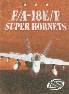 F/A-18E/F Super Hornets - Alvarez, Carlos