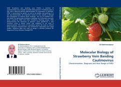 Molecular Biology of Strawberry Vein Banding Caulimovirus