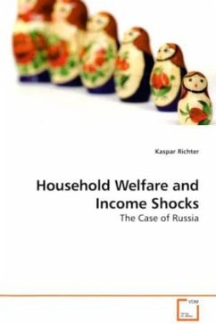 Household Welfare and Income Shocks - Richter, Kaspar