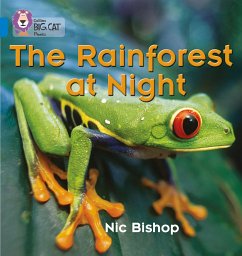 The Rainforest at Night - Bishop, Nic