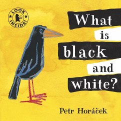 What Is Black and White? - Horacek, Petr