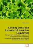 Colliding Branes and Formation of Spacetime Singularities