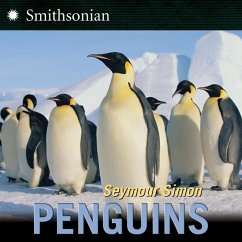 Penguins - Simon, Seymour