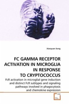 FC GAMMA RECEPTOR ACTIVATION IN MICROGLIA IN RESPONSE TO CRYPTOCOCCUS - Song, Xianyuan