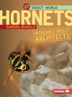 Hornets - Markle, Sandra