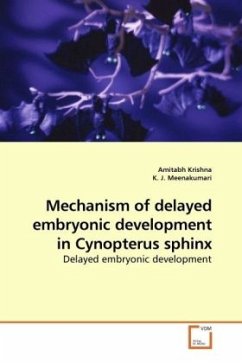 Mechanism of delayed embryonic development in Cynopterus sphinx - Krishna, Amitabh