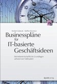 Businesspläne für IT-basierte Geschäftsideen